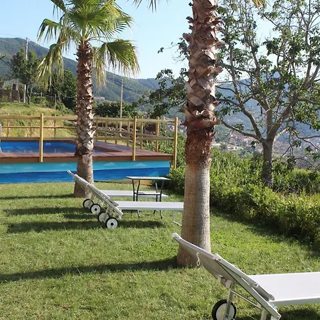 Panariello Palace Otel *